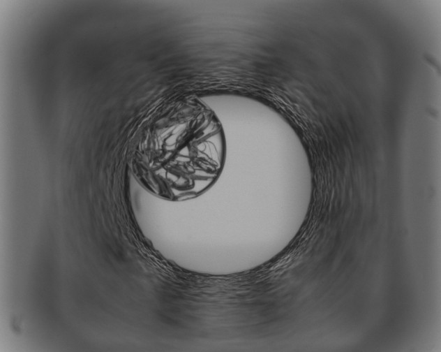X0000092001057200709061236
