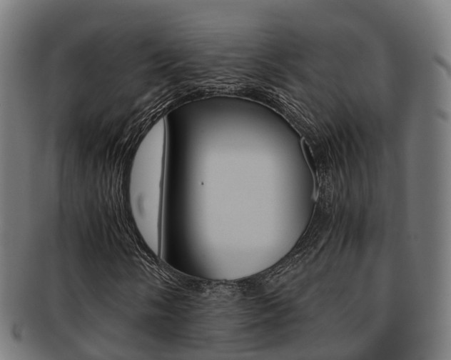 X0000092001058200709061236