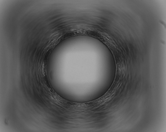 X0000092001060200709061236