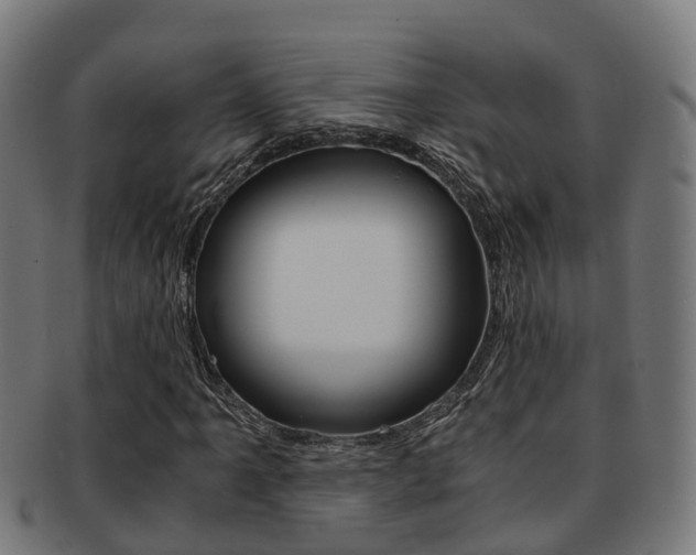 X0000092001061200709061236