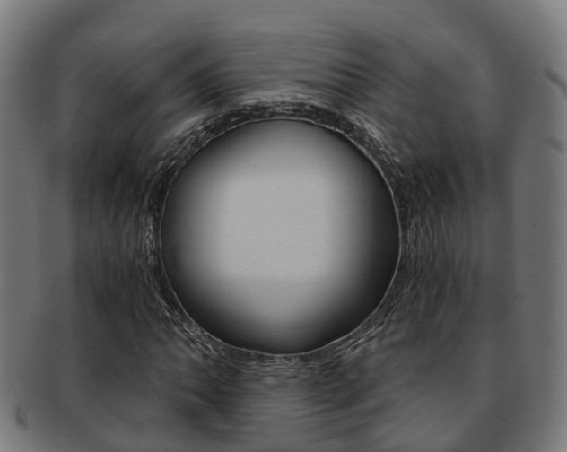 X0000092001062200709061236