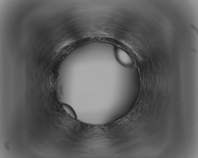 X0000092001063200709061236