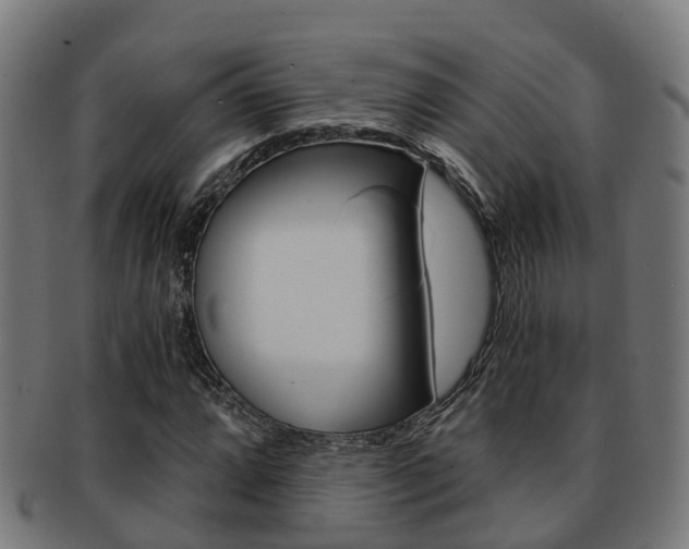 X0000092001064200709061236