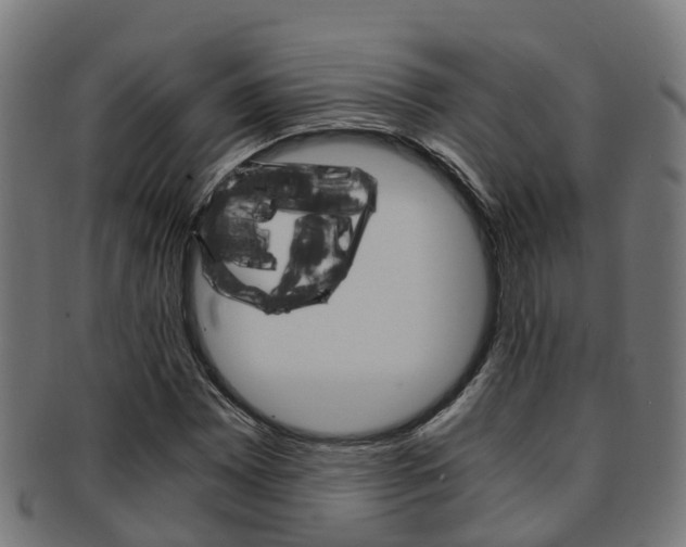 X0000092001065200709061236