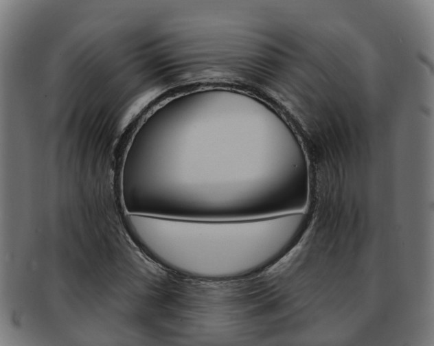 X0000092001066200709061236