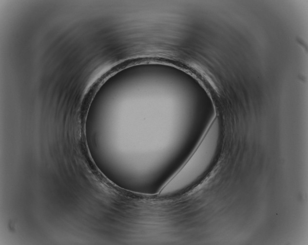 X0000092001069200709061236