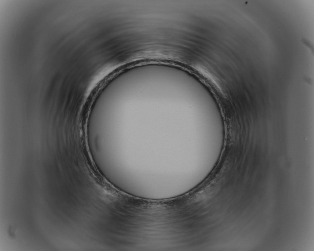 X0000092001070200709061236