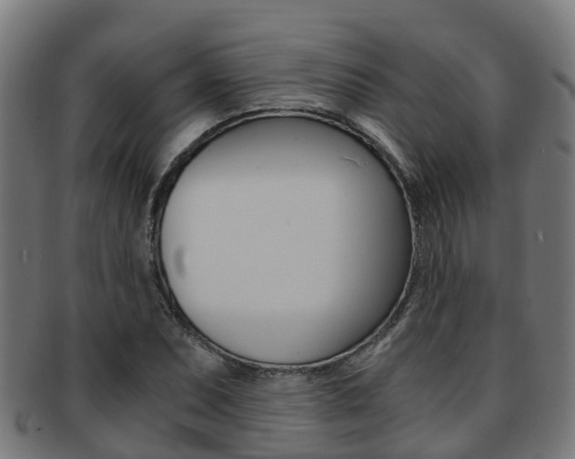 X0000092001071200709061236