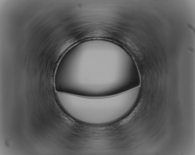 X0000092001073200709061236