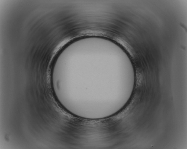 X0000092001074200709061236