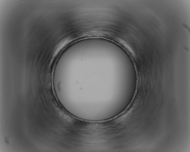X0000092001075200709061236