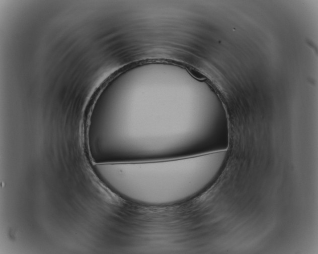 X0000092001076200709061236