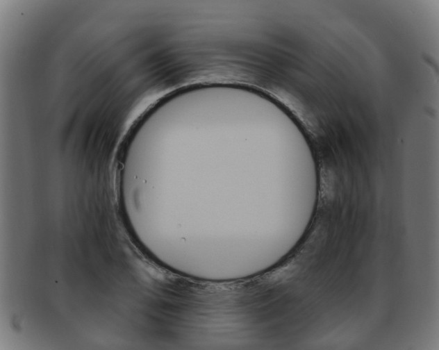 X0000092001078200709061235