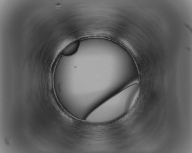 X0000092001079200709061235