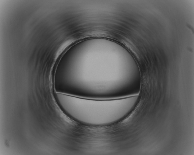 X0000092001082200709061235