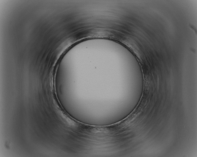 X0000092001083200709061235