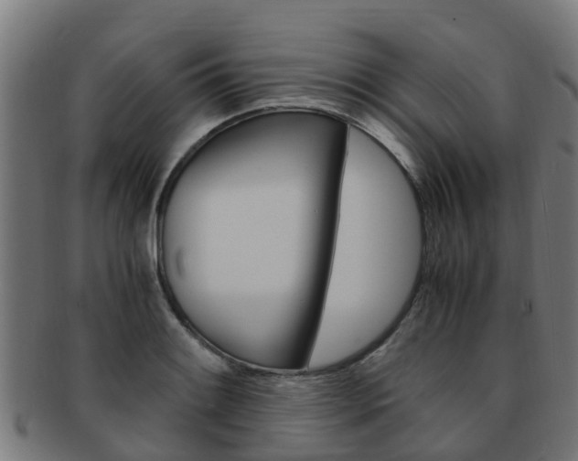X0000092001084200709061235