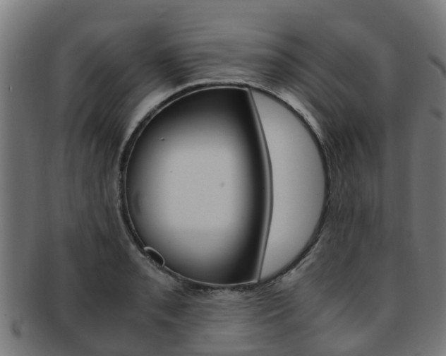 X0000092001085200709061235