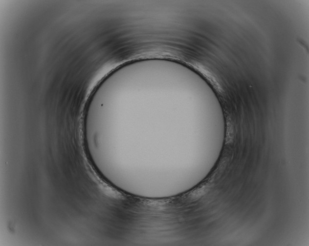 X0000092001086200709061235
