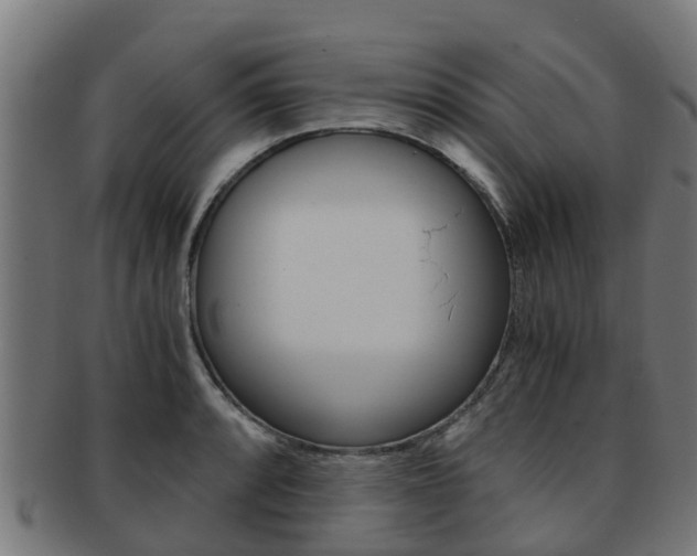 X0000092001088200709061235