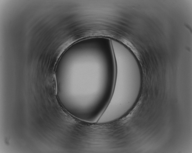X0000092001089200709061235