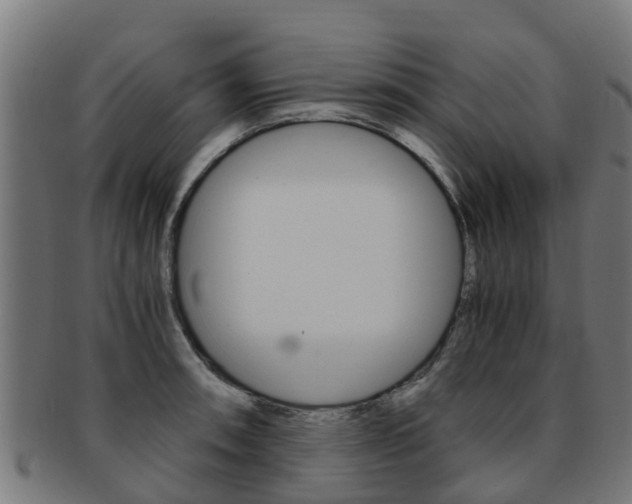 X0000092001090200709061235