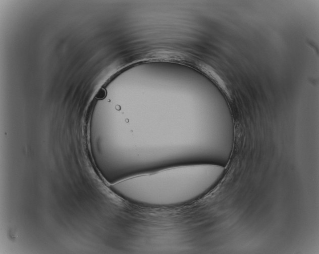 X0000092001091200709061235