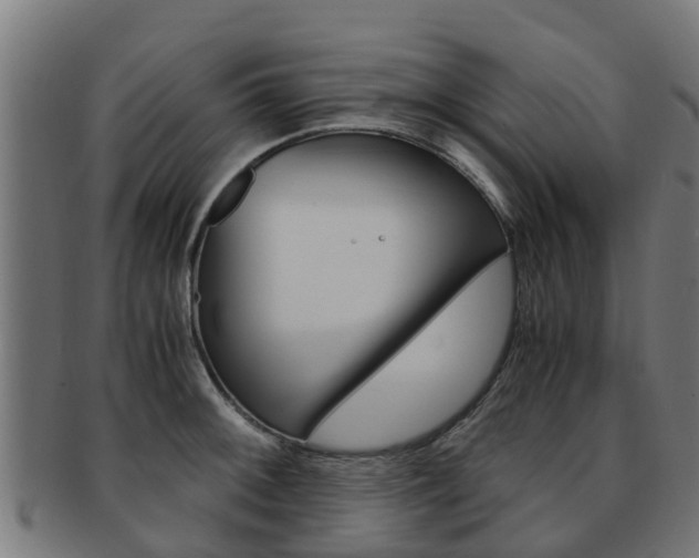 X0000092001092200709061235