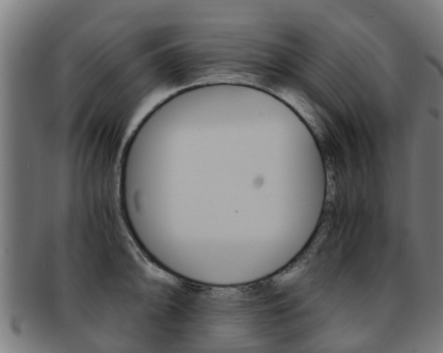 X0000092001094200709061235