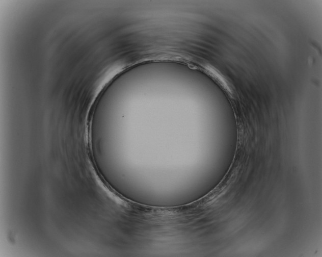 X0000092001095200709061235