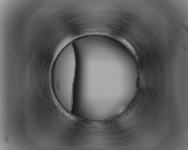 X0000092001096200709061235
