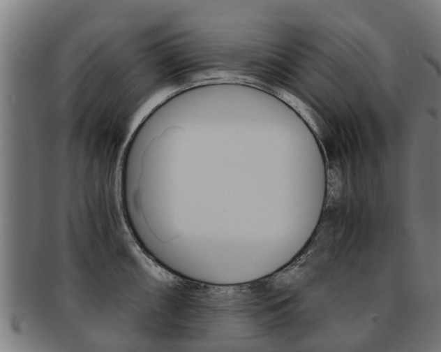 X0000092001098200709061235