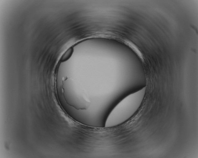 X0000092001099200709061235
