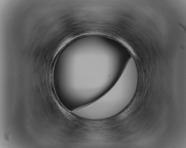 X0000092001101200709061235