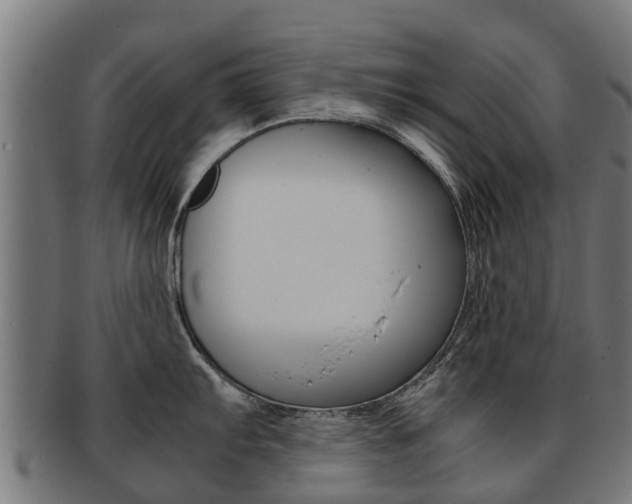 X0000092001103200709061235