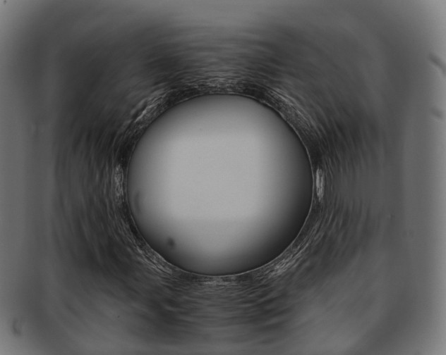 X0000092001107200709061235