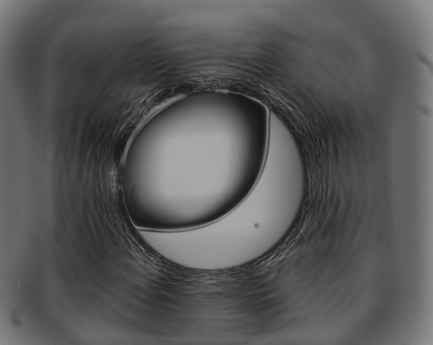 X0000092001108200709061235