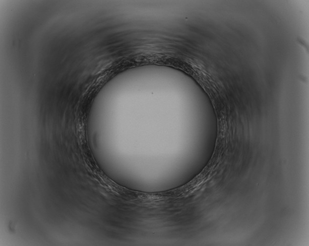 X0000092001109200709061235