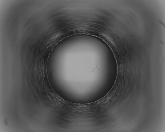 X0000092001111200709061235