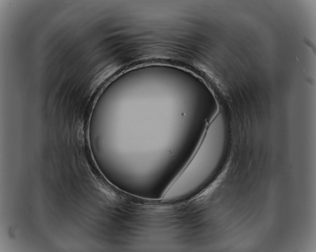X0000092001113200709061235