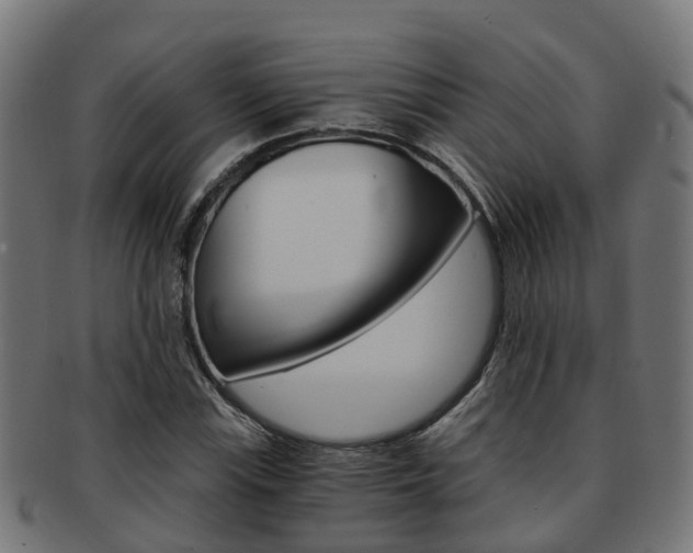 X0000092001115200709061235