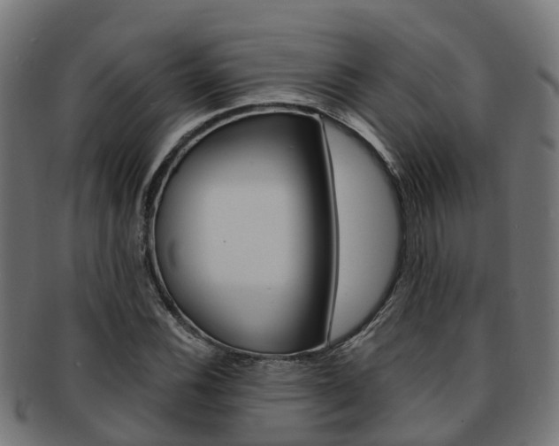 X0000092001116200709061235