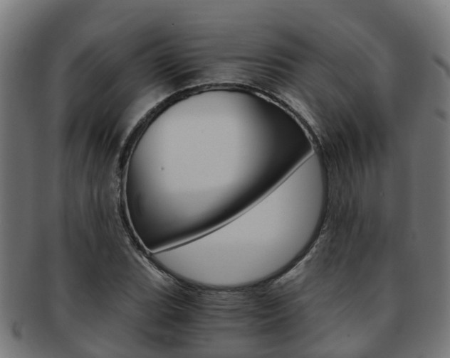 X0000092001119200709061235