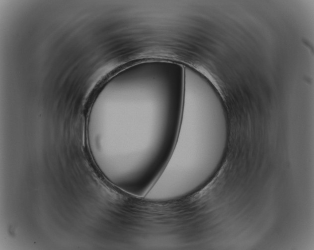 X0000092001123200709061235