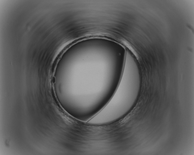 X0000092001124200709061235