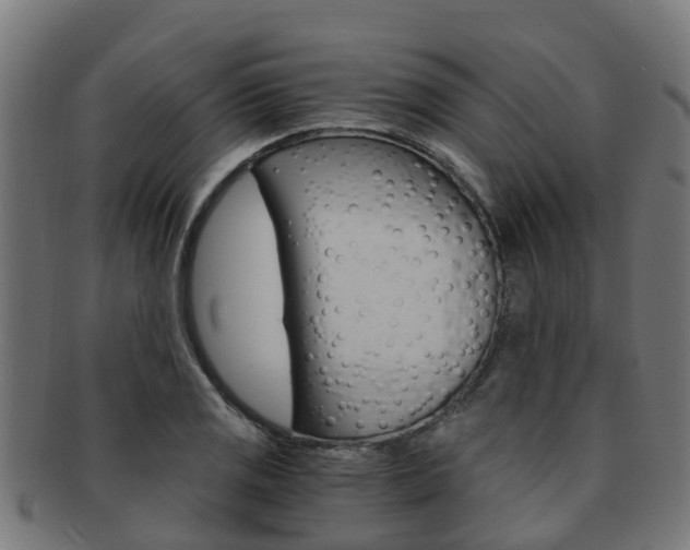 X0000092001125200709061235