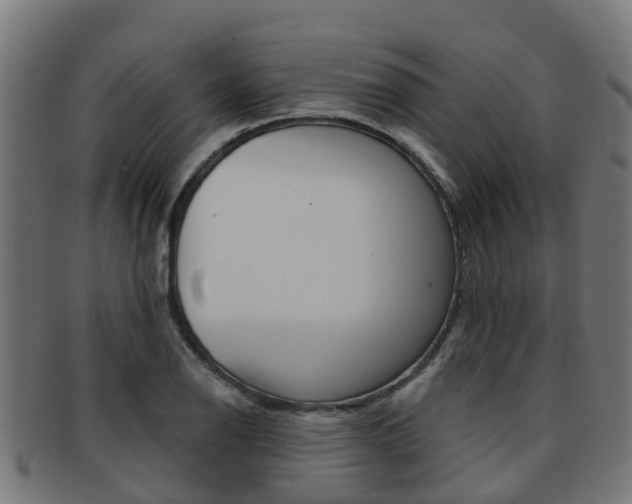 X0000092001126200709061235