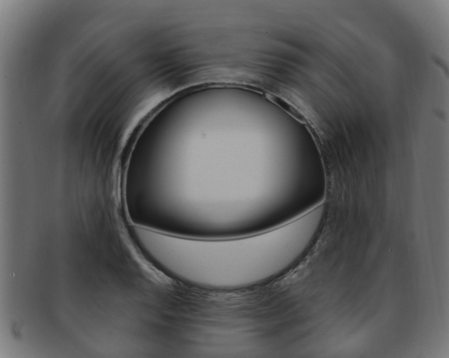 X0000092001128200709061235