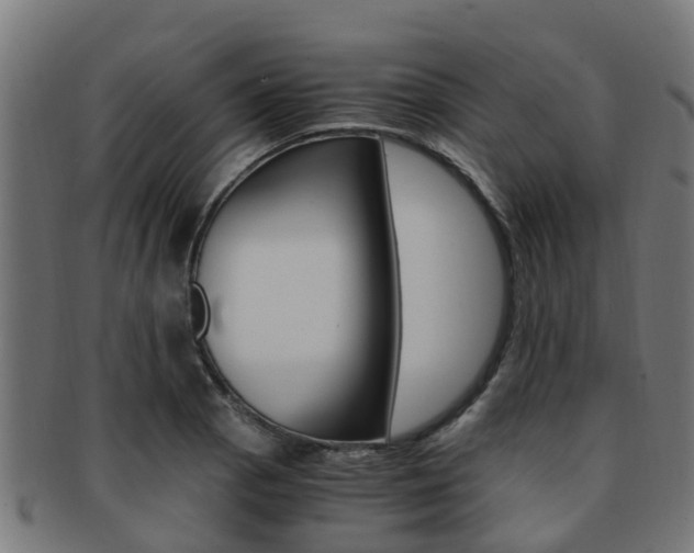 X0000092001129200709061235
