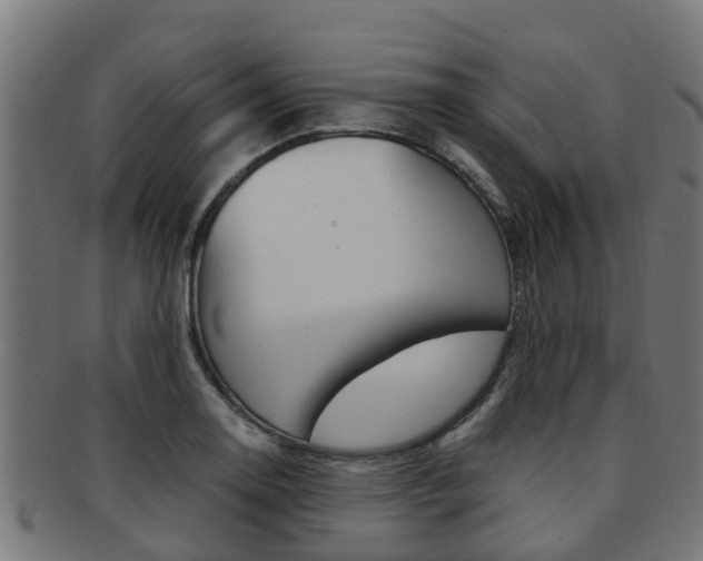 X0000092001130200709061235
